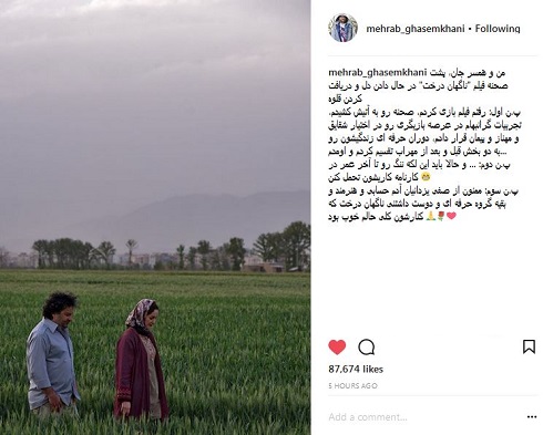 مهراب قاسم خانی و شقایق دهقان در فیلم ناگهان درخت