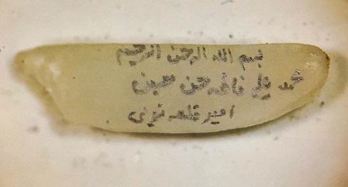 هدیه خاص قلعه نویی