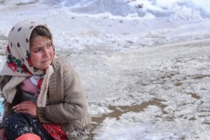 وجه کمدی پیشنهاد کارگردان ذوق زده نفس به ترامپ