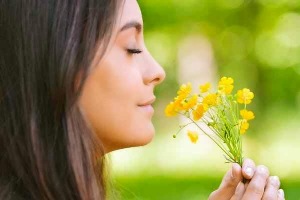 ارتباط بویایی قوی با مسیریابی بهتر!