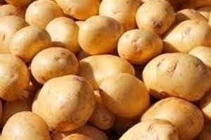 آشفتگی بازار سیب‌زمینی؛ قیمت ۸هزار تومان!