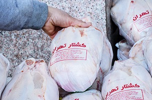 مرغ از ۴۰هزار تومان گران‌تر نمی‌شود!
