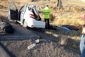 آمار وحشتناک تلفات جاده‌ ای در هفت سال نوروز