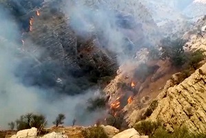 آتش سوزی در ارتفاعات گچساران مهار شد 