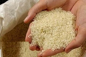 قیمت برنج به 120 هزار تومان رسید، مبارک است!