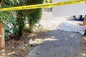 جزئیات جدید از قتل دکتر محفوظی از زبان قاتل
