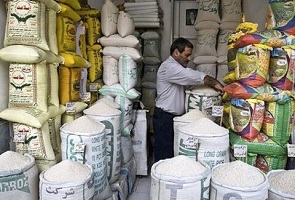 حباب قیمت برنج ایرانی ترکید 