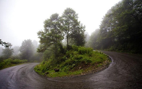 طبیعت زیبای مازندران فیل بند,فیلبند,سفر به روستای فیلبند مازندران,فیلبند مازندران,طبیعت روستای فیلبند,سفر به منطقه رویایی فیلبند,فیلبند کجاست,بام شرقی مازندران کجاست