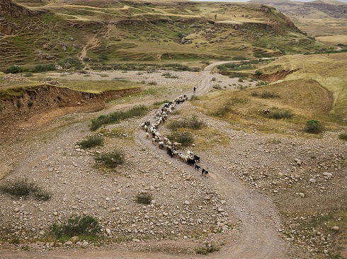 خشکسالی در روستای سیکوند در استان خوزستان زندگی عشایر,عشایر دامنه زاگرس,عکس زندگی عشایر,چادرنشینان زاگرس,سختی های زندگی عشایر