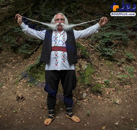پادشاه سبیل جهان