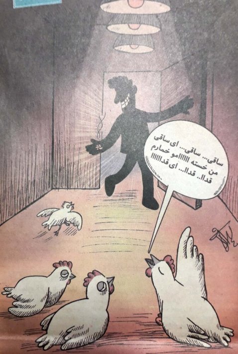 دادن تریاک به مرغ ها برای افزایش وزن