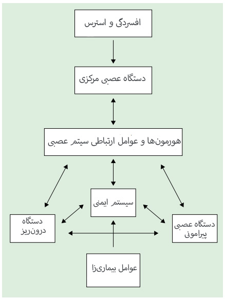 system imeni.jpg