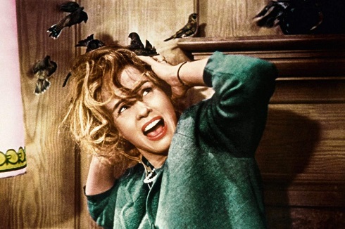 فیلم پرندگان The Birds هیچکاک