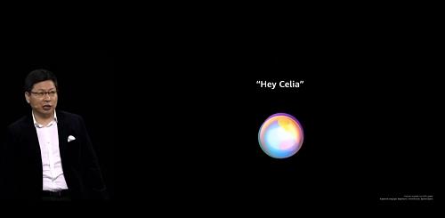 Hey Celia.jpg