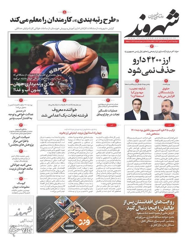 newspaper400100611.jpg
