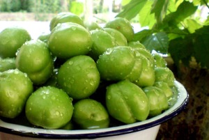 خوردن گوجه سبز بدون نفخ معده