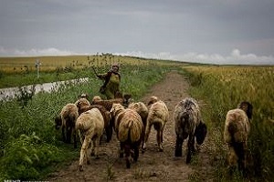 رنگین کمان اقوام در نگارستان ایران