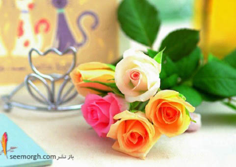 رز های رنگارنگ