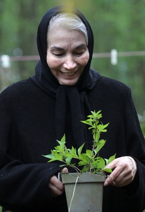 آنا نعمتی