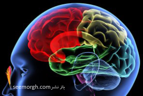 نقش خواب در بهبود یک بیماری عصبی