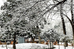 تصاویری از هوای برفی تهران